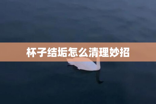 杯子结垢怎么清理妙招