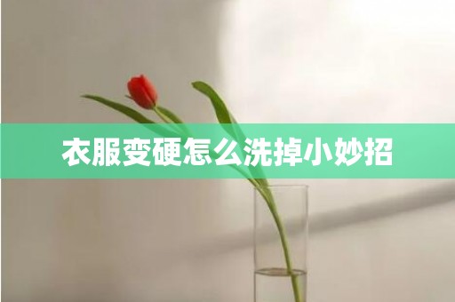 衣服变硬怎么洗掉小妙招