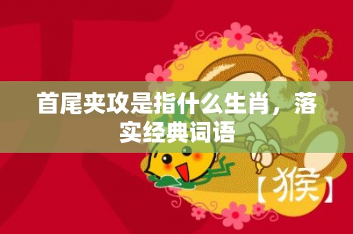 首尾夹攻是指什么生肖，落实经典词语