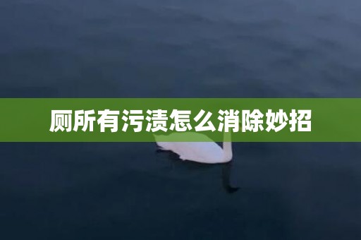 厕所有污渍怎么消除妙招