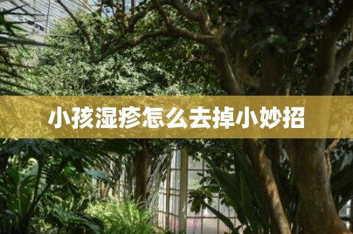 小孩湿疹怎么去掉小妙招