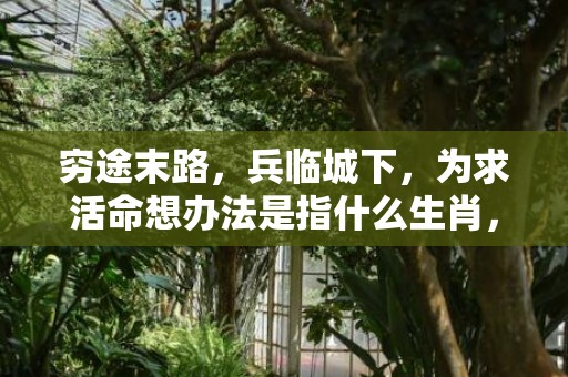穷途末路，兵临城下，为求活命想办法是指什么生肖，落实经典词语