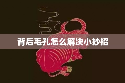 背后毛孔怎么解决小妙招
