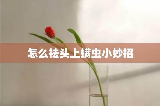 怎么祛头上螨虫小妙招