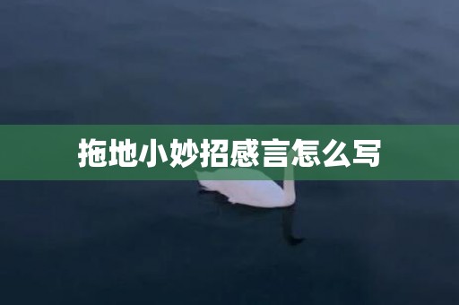 拖地小妙招感言怎么写