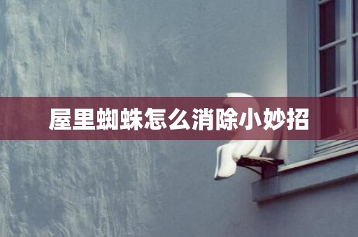 屋里蜘蛛怎么消除小妙招