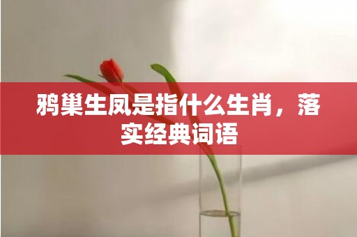 鸦巢生凤是指什么生肖，落实经典词语