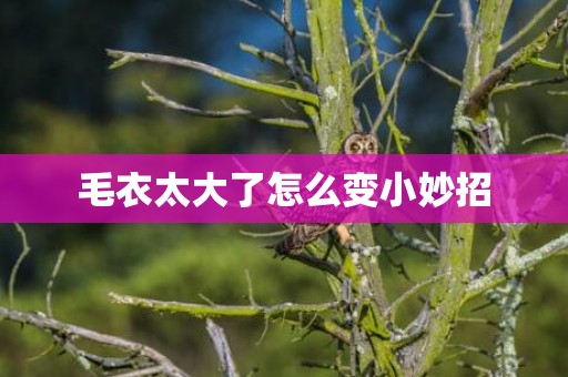 毛衣太大了怎么变小妙招