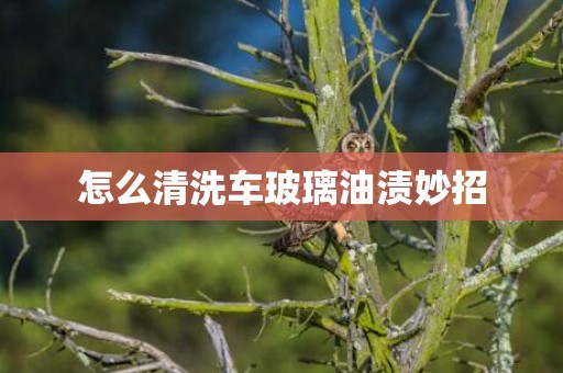 怎么清洗车玻璃油渍妙招