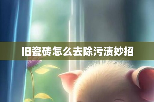 旧瓷砖怎么去除污渍妙招