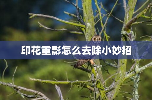印花重影怎么去除小妙招