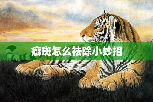 癣斑怎么祛除小妙招