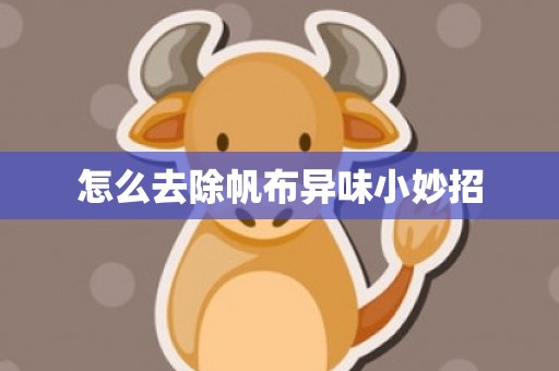 怎么去除帆布异味小妙招