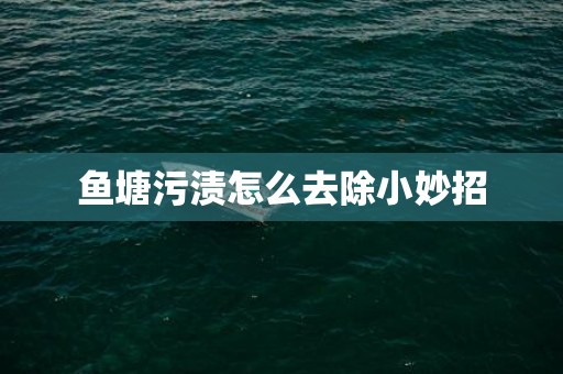 鱼塘污渍怎么去除小妙招