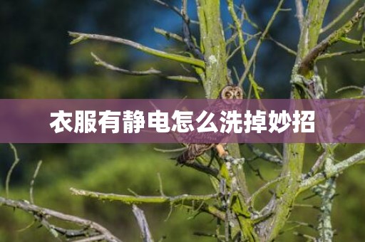 衣服有静电怎么洗掉妙招