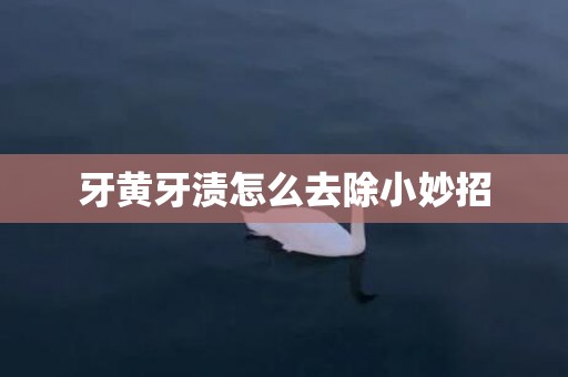 牙黄牙渍怎么去除小妙招