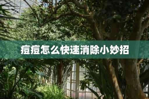 痘痘怎么快速消除小妙招