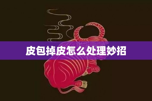 皮包掉皮怎么处理妙招