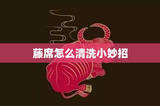 藤席怎么清洗小妙招