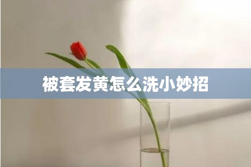 被套发黄怎么洗小妙招