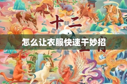 怎么让衣服快速干妙招