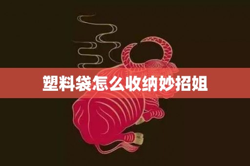 塑料袋怎么收纳妙招姐