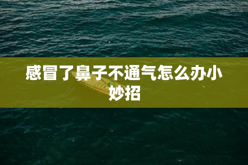 感冒了鼻子不通气怎么办小妙招