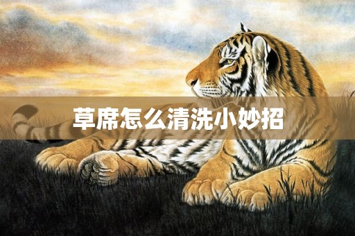 草席怎么清洗小妙招