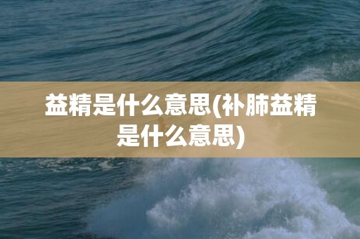 益精是什么意思(补肺益精是什么意思)