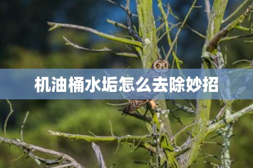 机油桶水垢怎么去除妙招