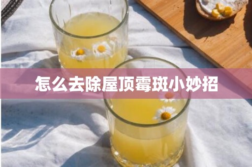 怎么去除屋顶霉斑小妙招