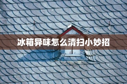 冰箱异味怎么清扫小妙招