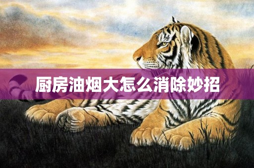 厨房油烟大怎么消除妙招