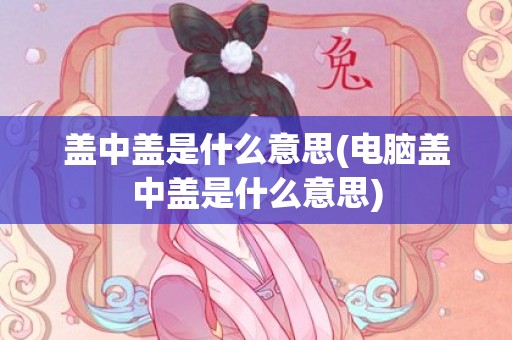 盖中盖是什么意思(电脑盖中盖是什么意思)