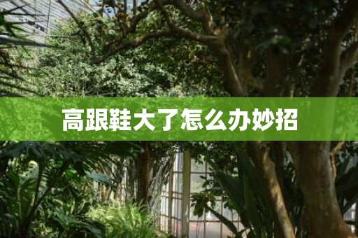 高跟鞋大了怎么办妙招