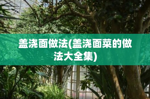 盖浇面做法(盖浇面菜的做法大全集)