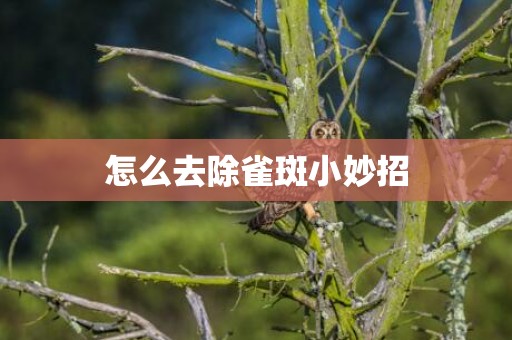 怎么去除雀斑小妙招