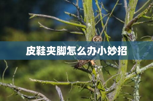 皮鞋夹脚怎么办小妙招