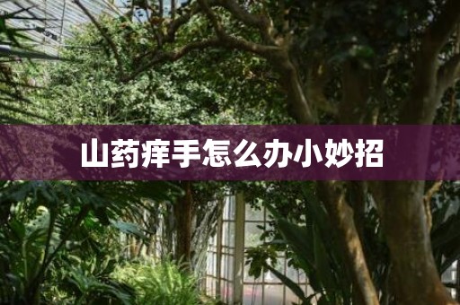 山药痒手怎么办小妙招