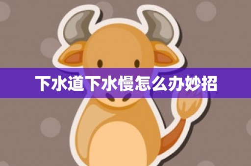 下水道下水慢怎么办妙招