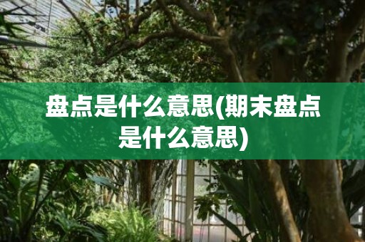 盘点是什么意思(期末盘点是什么意思)