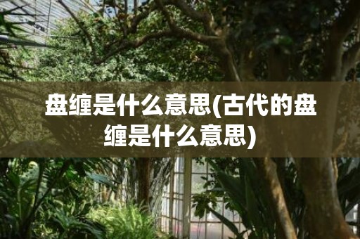 盘缠是什么意思(古代的盘缠是什么意思)