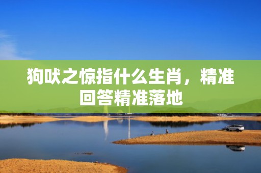 狗吠之惊指什么生肖，精准回答精准落地