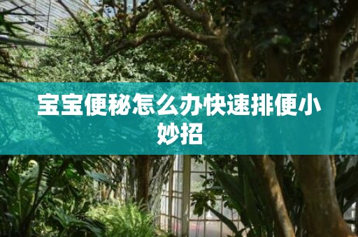 宝宝便秘怎么办快速排便小妙招