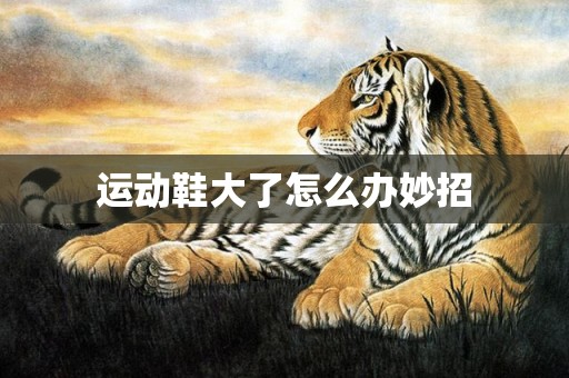 运动鞋大了怎么办妙招