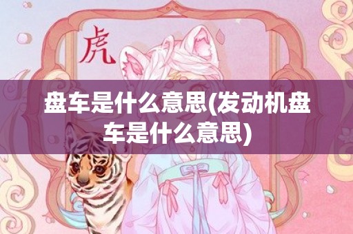 盘车是什么意思(发动机盘车是什么意思)