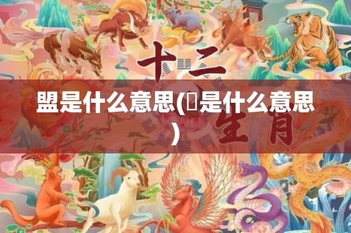 盟是什么意思(曌是什么意思)