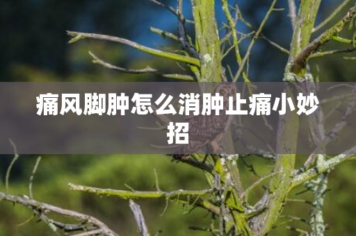 痛风脚肿怎么消肿止痛小妙招
