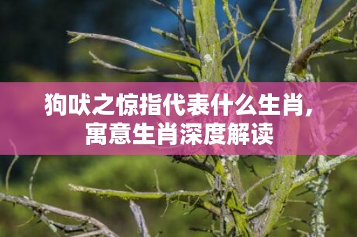 狗吠之惊指代表什么生肖,寓意生肖深度解读