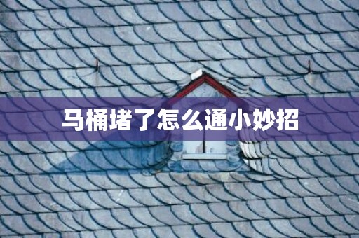 马桶堵了怎么通小妙招